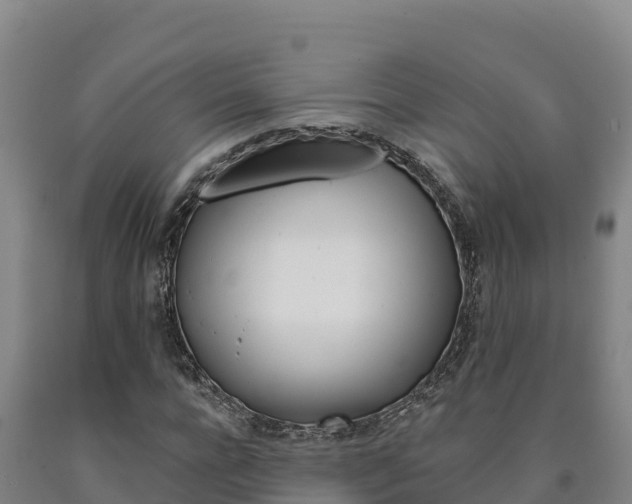 X0000090930920200707301111