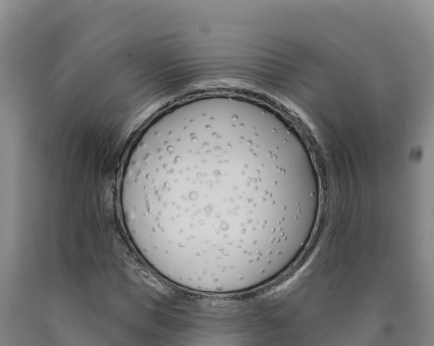 X0000090930921200707301111