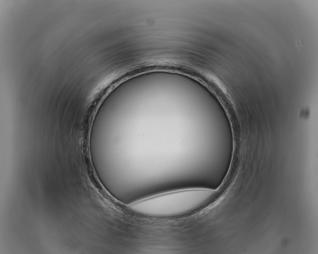 X0000090930922200707301111