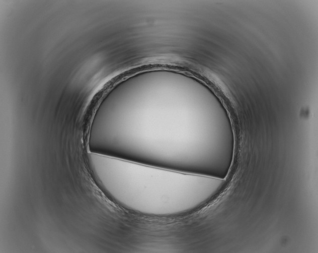 X0000090930923200707301111