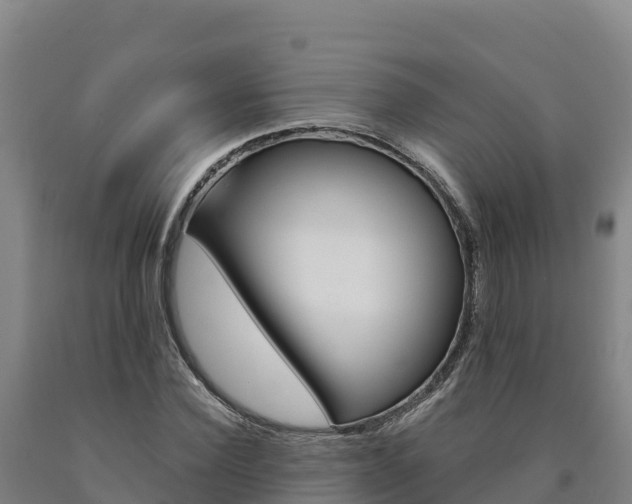 X0000090930924200707301111