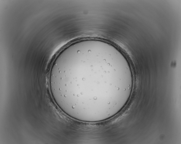 X0000090930925200707301111