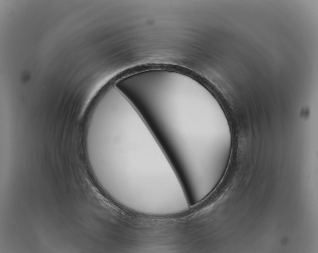X0000090930926200707301111