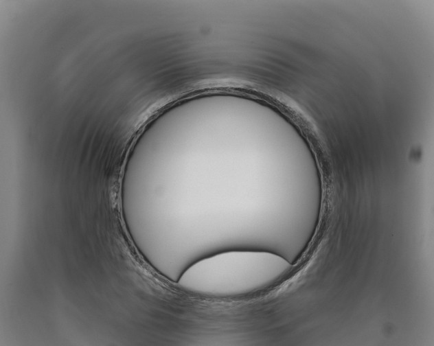 X0000090930929200707301111