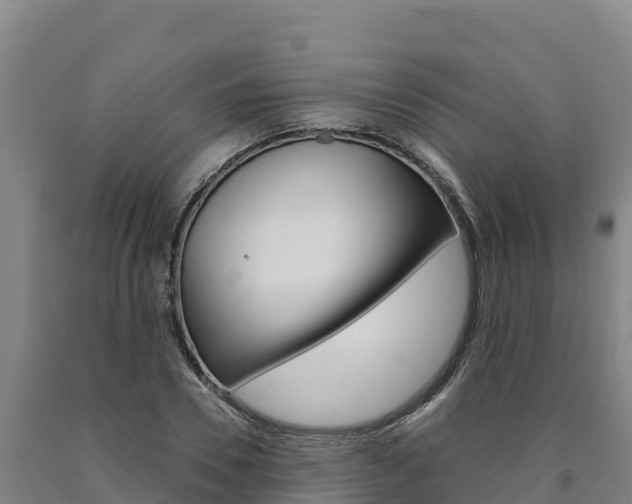 X0000090930930200707301111