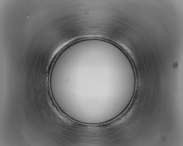 X0000090930933200707301111