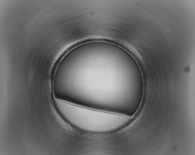 X0000090930934200707301112