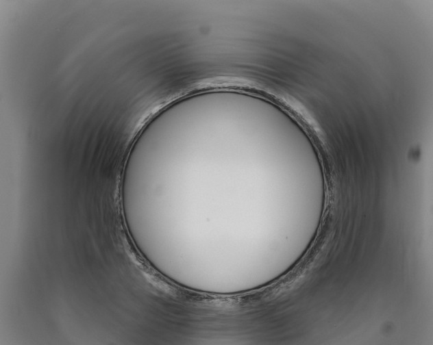 X0000090930937200707301112