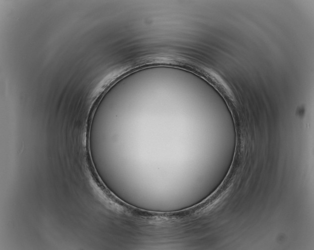 X0000090930938200707301112