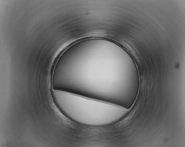 X0000090930939200707301112