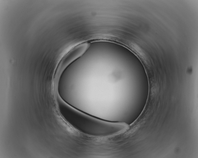 X0000090930940200707301112