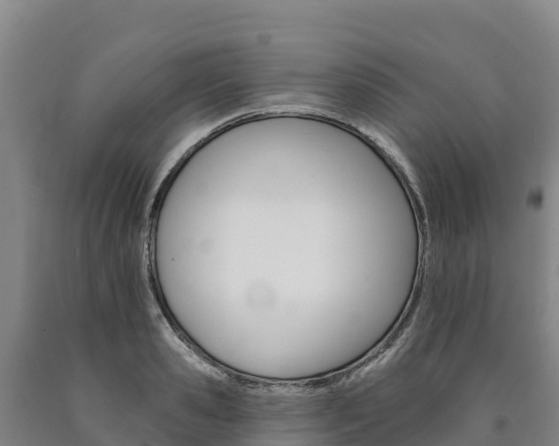 X0000090930941200707301112