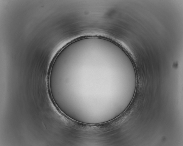 X0000090930943200707301112