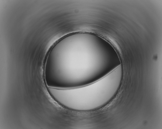 X0000090930944200707301112