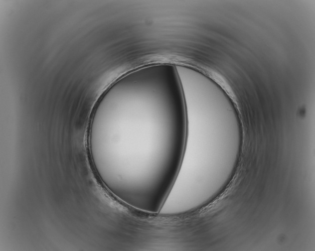 X0000090930946200707301112