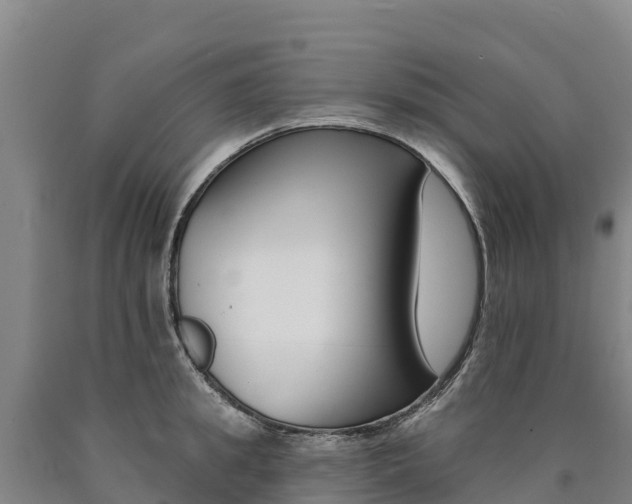 X0000090930949200707301112