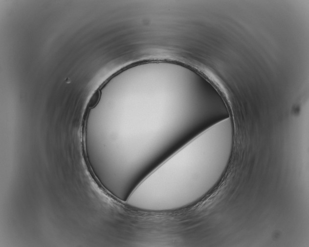 X0000090930951200707301112
