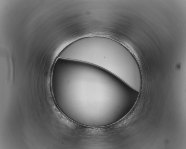 X0000090930952200707301112