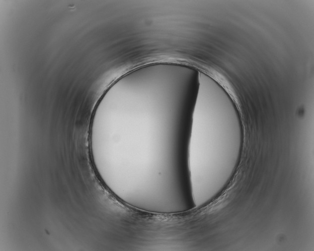 X0000090930954200707301112