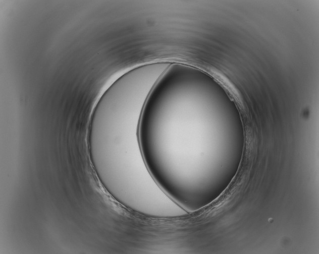 X0000090930956200707301112