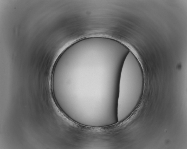 X0000090930957200707301112