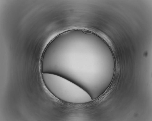 X0000090930958200707301112