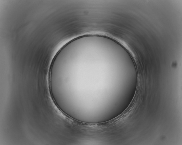 X0000090930959200707301112