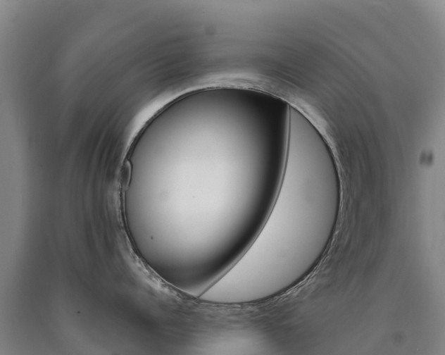 X0000090930960200707301112