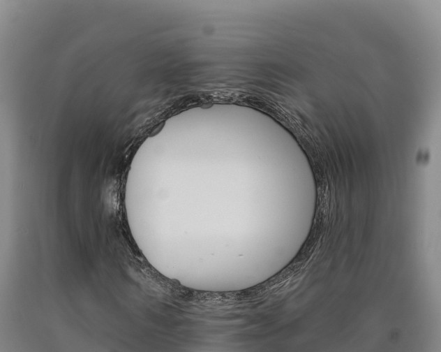 X0000090930962200707301111