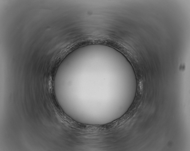 X0000090930963200707301111