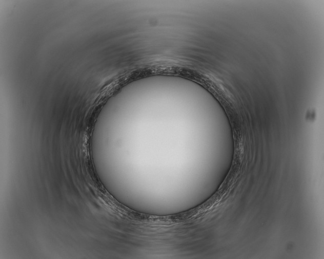X0000090930964200707301111