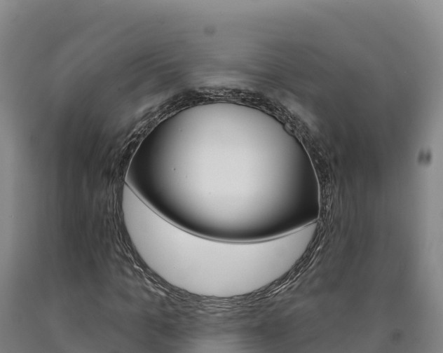 X0000090930965200707301111