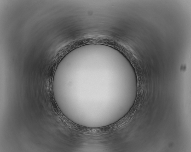 X0000090930966200707301111