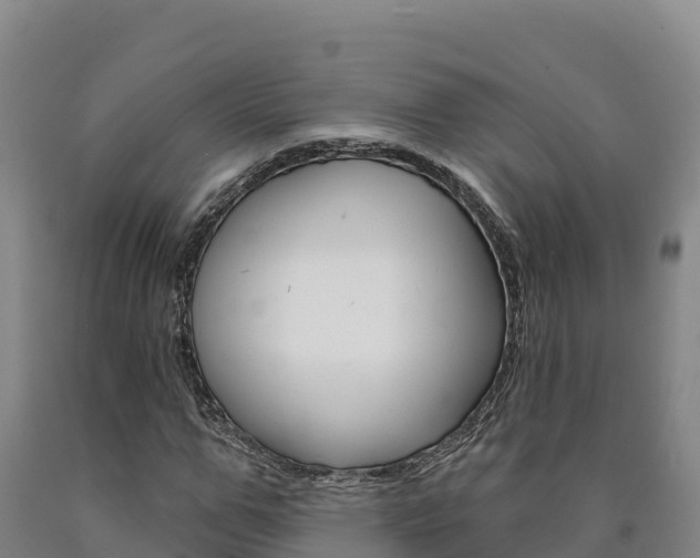 X0000090930967200707301111