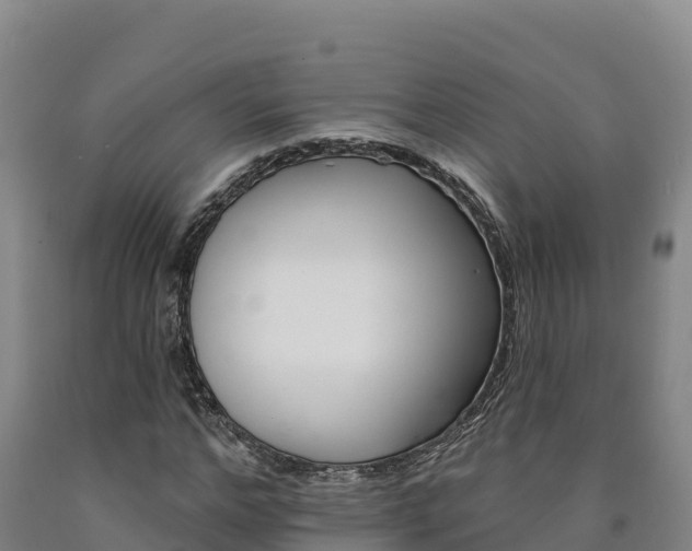 X0000090930968200707301111