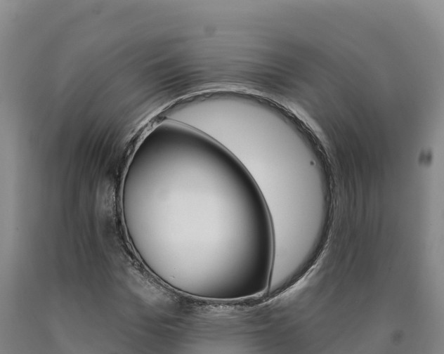 X0000090930969200707301111