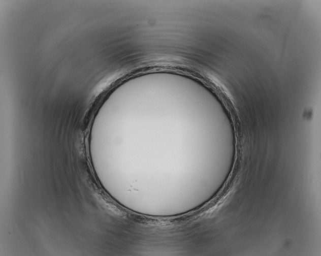 X0000090930970200707301111