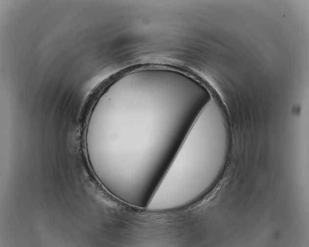 X0000090930971200707301111