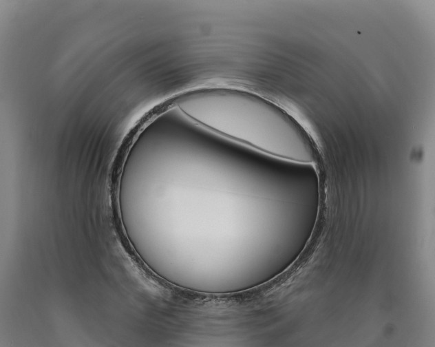 X0000090930972200707301111