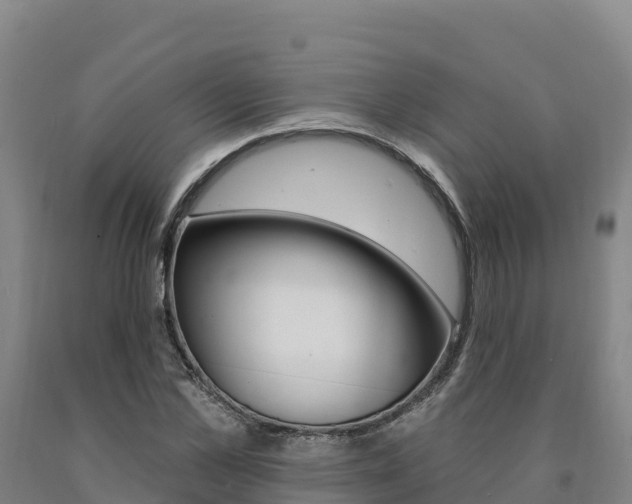 X0000090930973200707301111