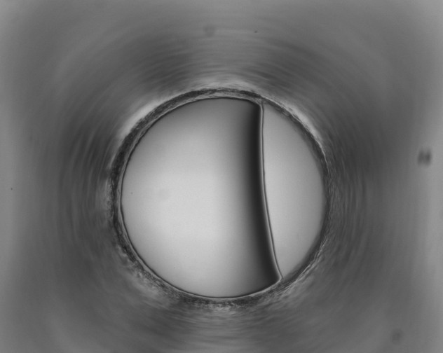 X0000090930975200707301111