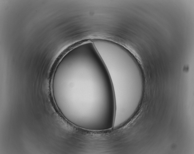 X0000090930976200707301111