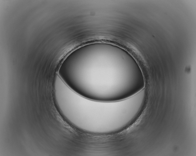 X0000090930977200707301111