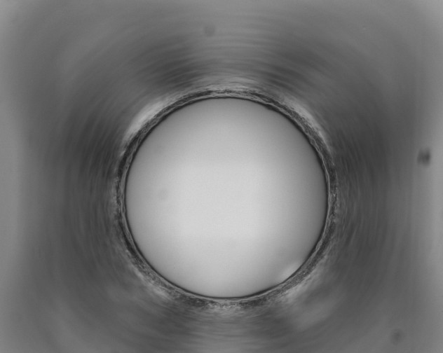 X0000090930978200707301111