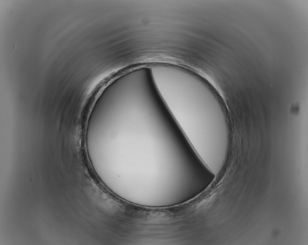 X0000090930979200707301111