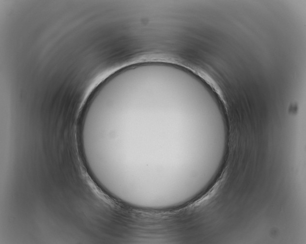X0000090930981200707301111
