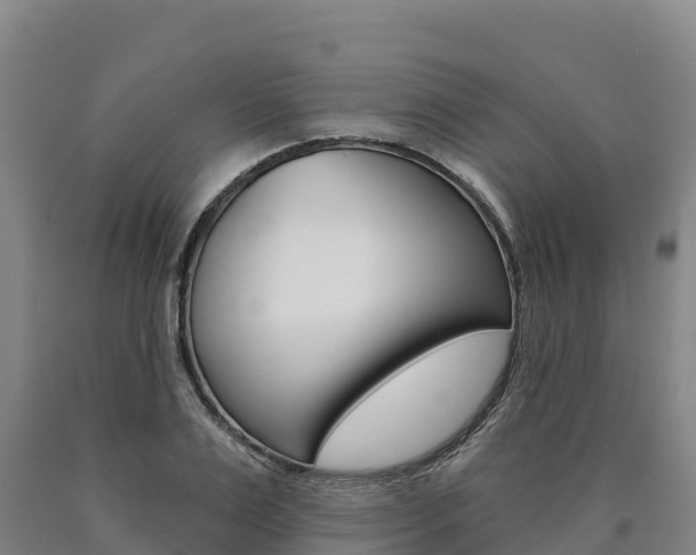 X0000090930983200707301111