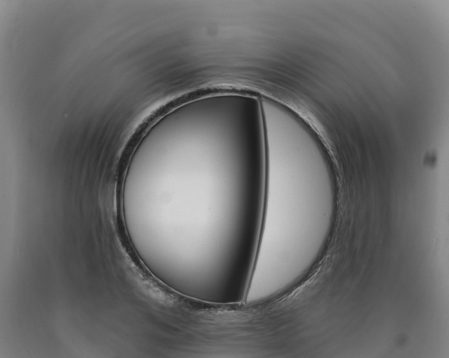 X0000090930984200707301111