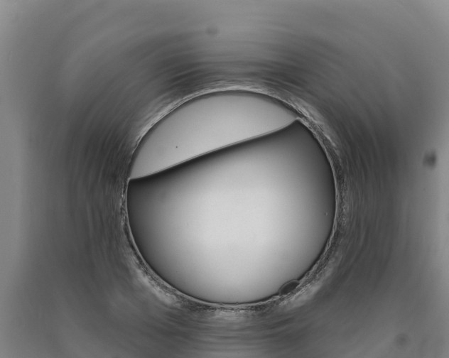 X0000090930985200707301111