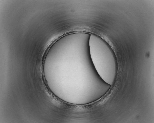 X0000090930986200707301111